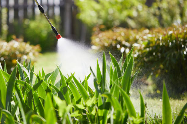 24/7 Emergency Termite Control experts in Fairmead, CA